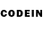COCAIN Columbia Anna Preida