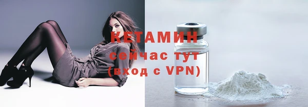 ГАЛЛЮЦИНОГЕННЫЕ ГРИБЫ Горно-Алтайск