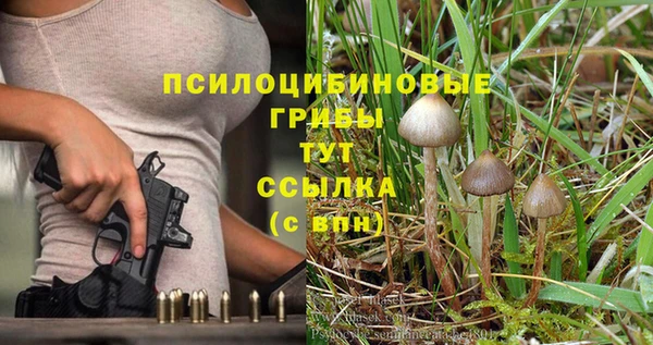 СК Горняк