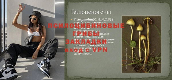 стаф Гусь-Хрустальный