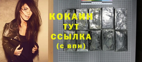 стаф Гусь-Хрустальный